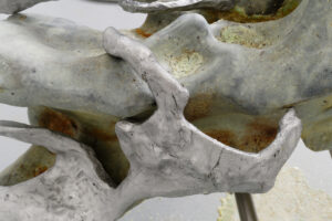 Isabelle Andriessen Nocturnals detail 2