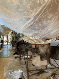 Virginia Garcia Sculpture Center